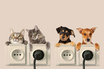 AC-DogCat - Cute Cat / Dog 3D Wall Stickers