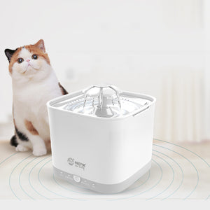 SmartBro Drink Fountain — Automated Pet Drink Source with Presence Detection